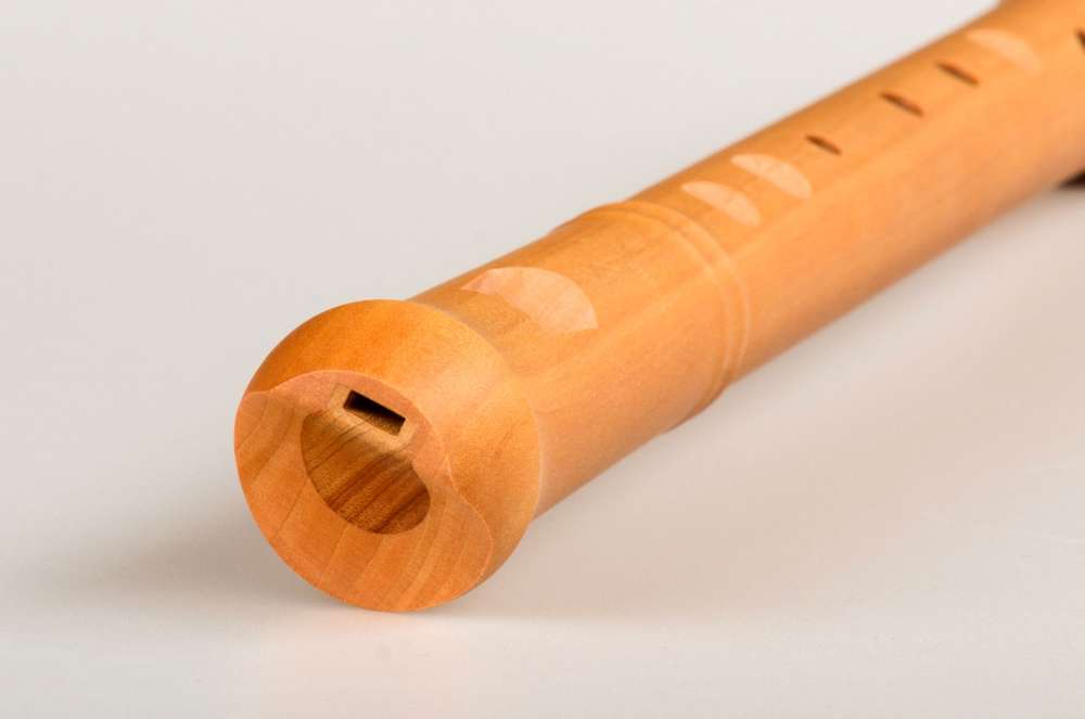 Mollenhauer, "Waldorf-Edition", "Bäumling" in d', 442 Hz, 5 tone flute, pearwood