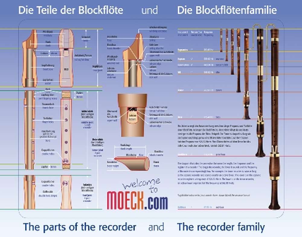 Moeck, puzzle "The parts of the recorder" and the "recorder family"